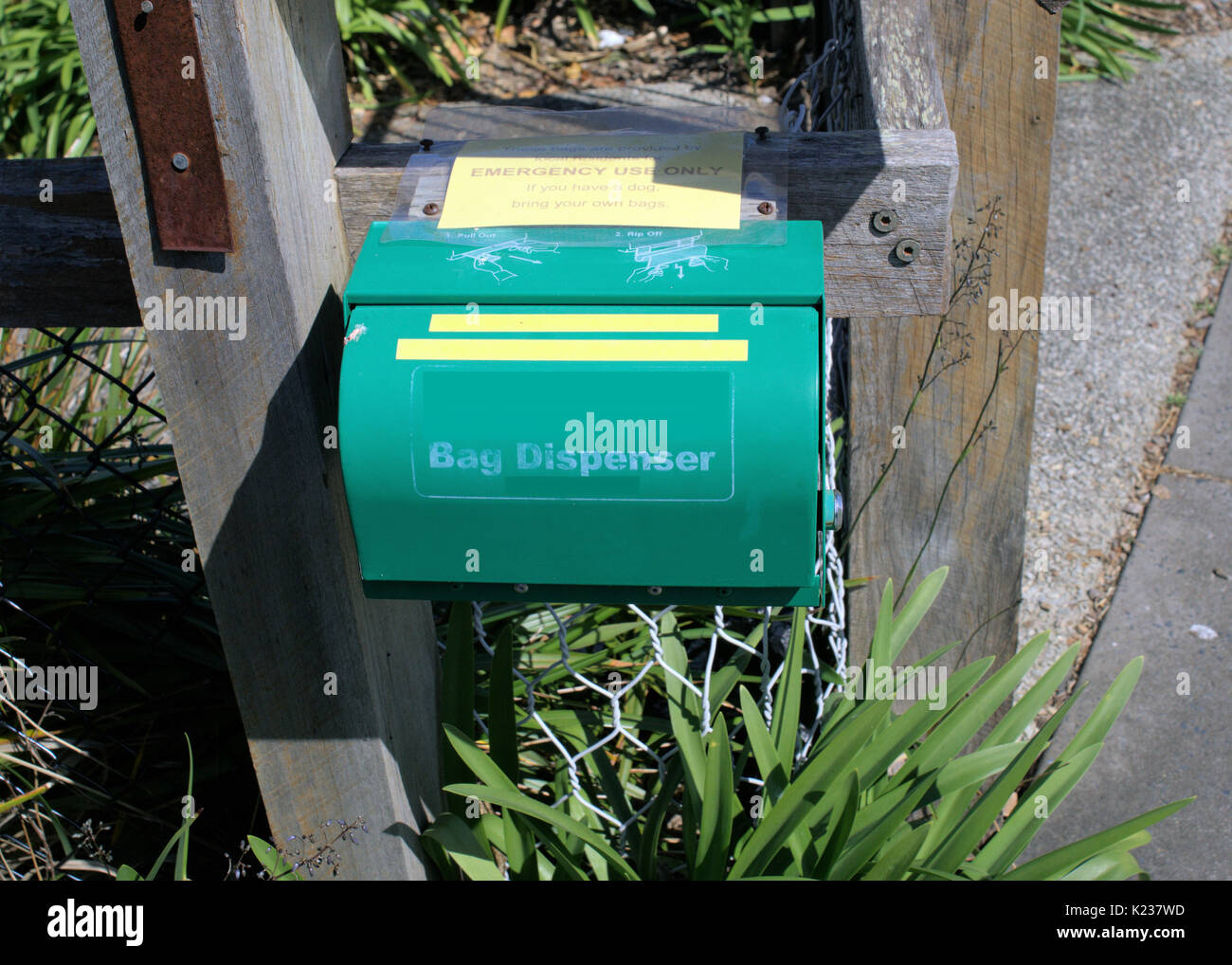 Sac en plastique de couleur verte distributeur pour chiens à une personne marchant park en Australie Banque D'Images