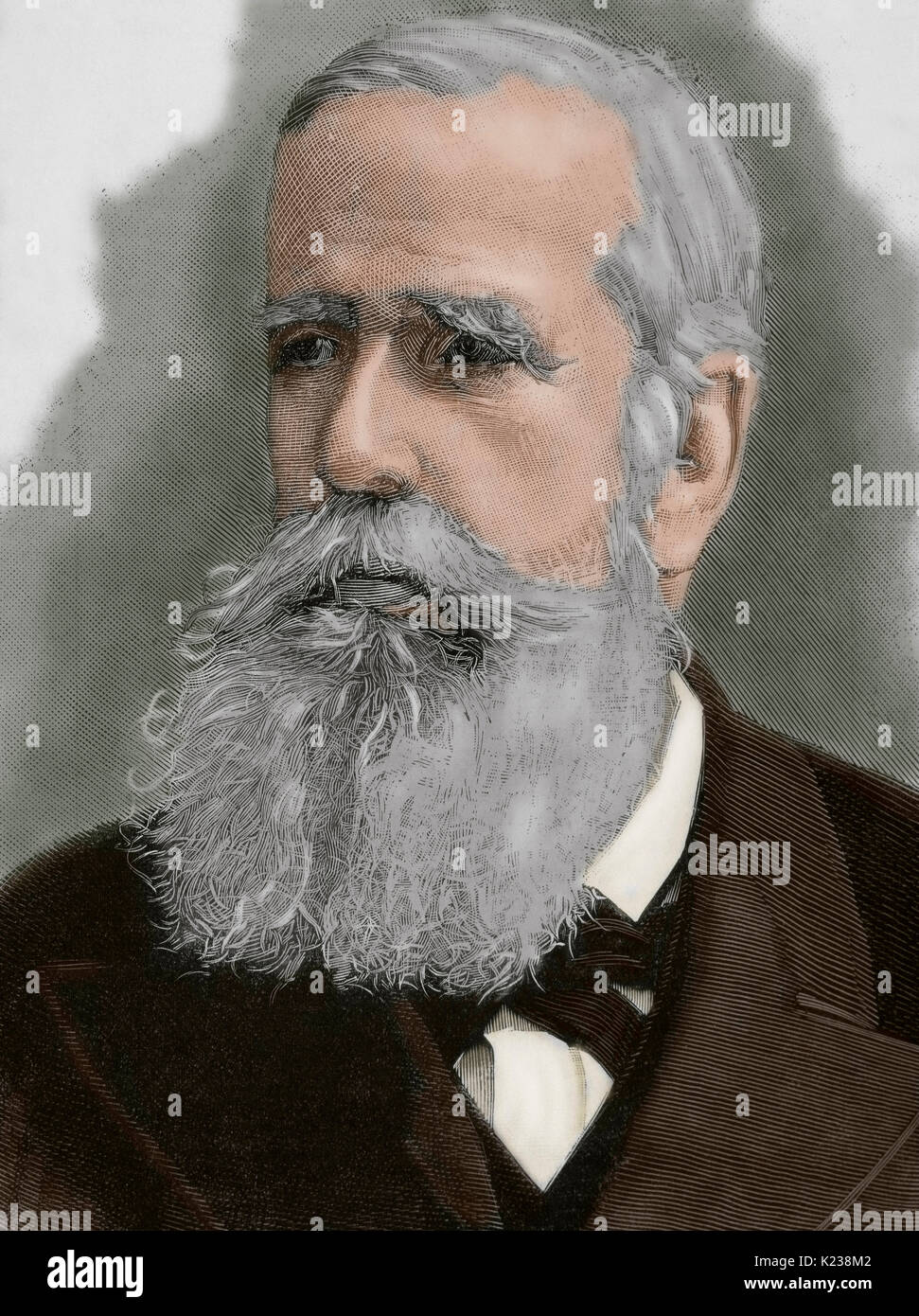 Pedro II du Brésil (1825-1891), le Magnanime. Deuxième et dernier souverain de l'Empire du Brésil. Portrait. La gravure. De couleur. Banque D'Images