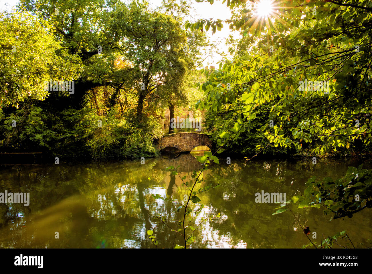 Petit Pont de pierre sur la rivière Medway près de Maidstone dans le Kent, Angleterre. Pris sur une belle après-midi ensoleillée d'automne. Banque D'Images