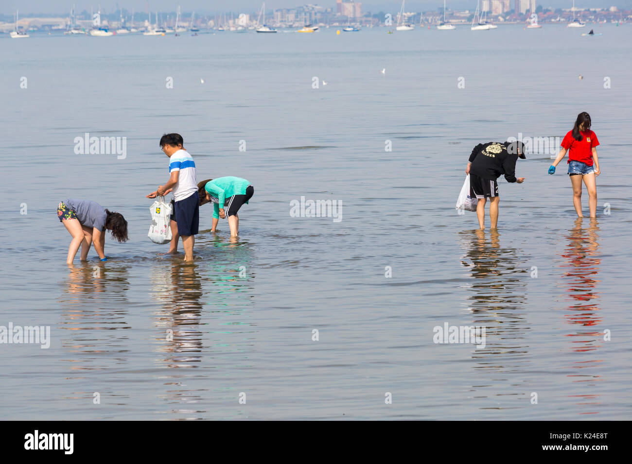 Bancs, Poole, Dorset, UK. Août 28, 2017. Météo France : belle chaude journée ensoleillée à bancs, comme les foules affluent à la station beach que les températures montent. En essayant de garder au frais dans la mer - le gondolage dans le port de Poole. Credit : Carolyn Jenkins/Alamy Live News Banque D'Images