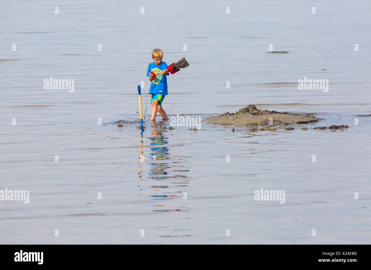 Bancs, Poole, Dorset, UK. Août 28, 2017. Météo France : belle chaude journée ensoleillée à bancs, comme les foules affluent à la station beach que les températures montent. En essayant de garder au frais dans la mer. Credit : Carolyn Jenkins/Alamy Live News Banque D'Images