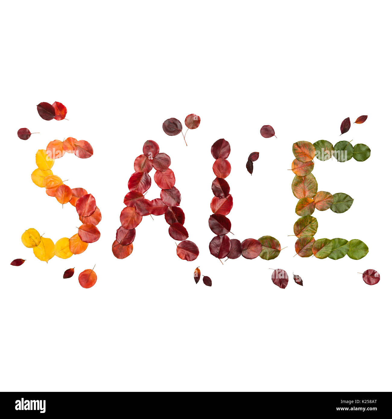 Inscription automne Vente avec orange, rouge, jaune et vert,vineux feuilles, isolé sur le fond blanc Banque D'Images