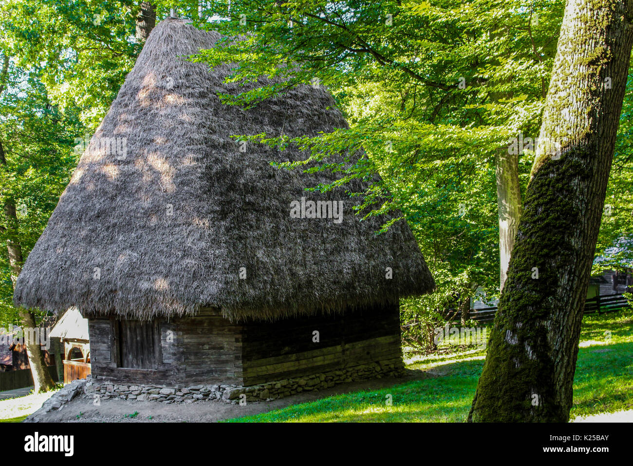 Village traditionnel dans la forêt woods Banque D'Images