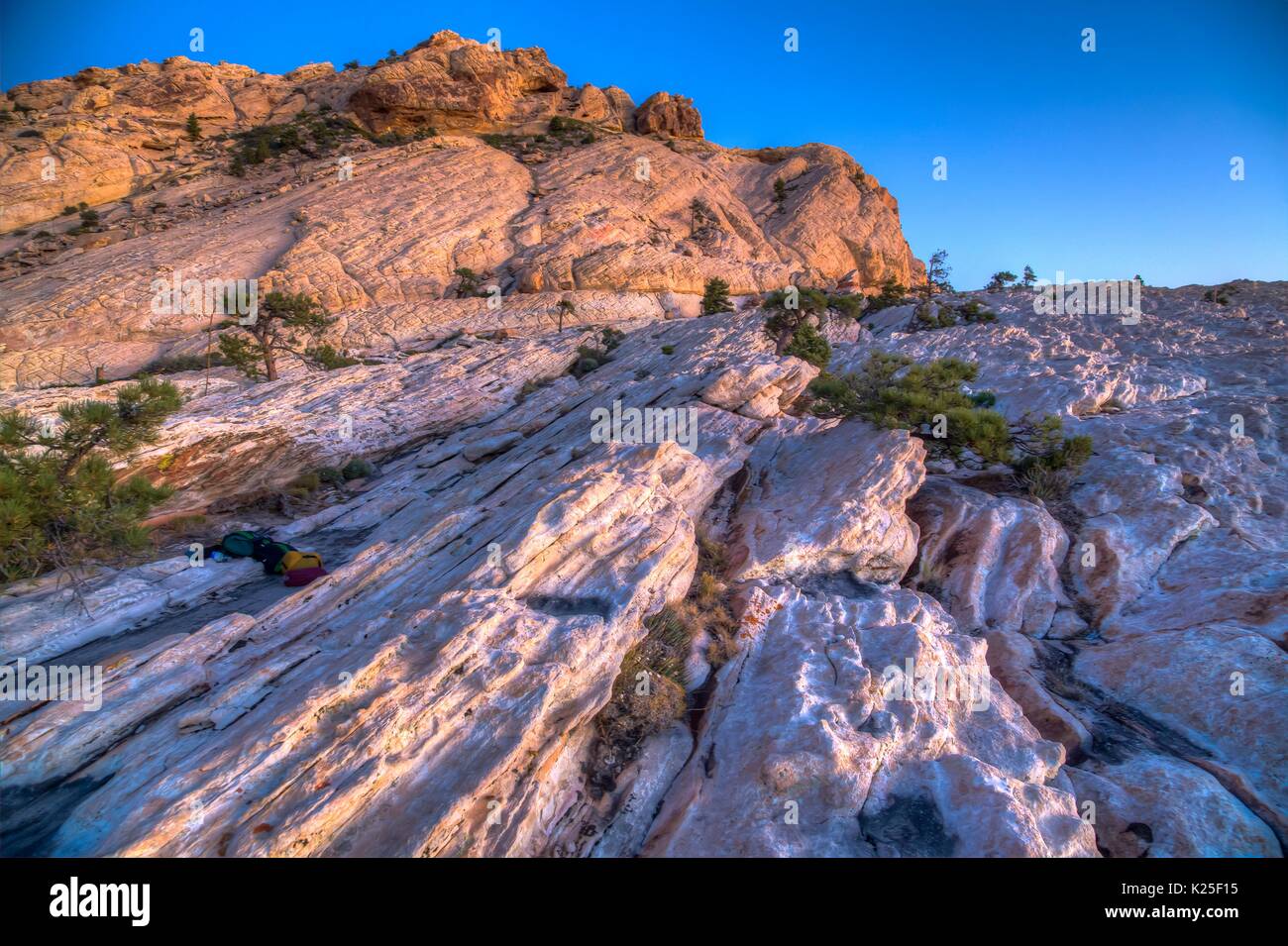Des formations de roche rouge et pins pinyon dispersés à l'aube au Red Rock Canyon National Conservation Area, 27 septembre 2016 près de Las Vegas, Nevada. Banque D'Images