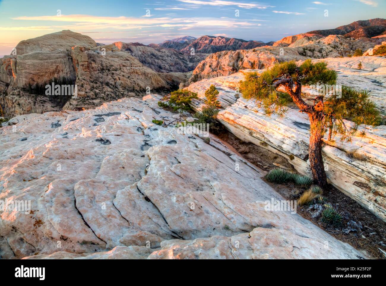 Des formations de roche rouge au coucher du soleil avec quelques pins pinyon au Red Rock Canyon National Conservation Area, 27 septembre 2016 près de Las Vegas, Nevada. Banque D'Images