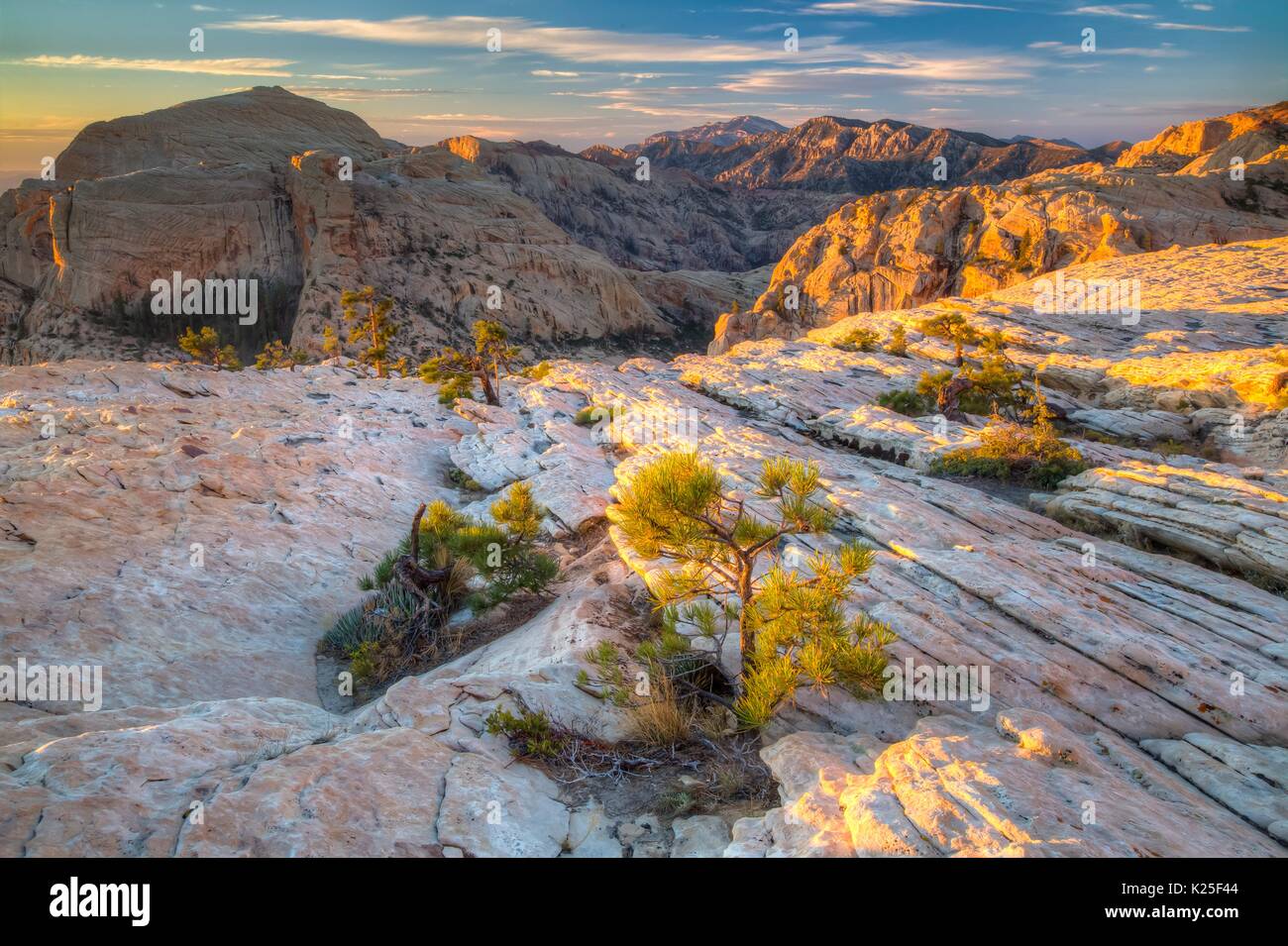 Des formations de roche rouge au coucher du soleil avec un éparpillement de pinyon pins au Red Rock Canyon National Conservation Area, 27 septembre 2016 près de Las Vegas, Nevada. Banque D'Images
