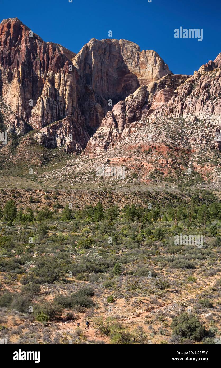 Des formations de roche rouge au Red Rock Canyon National Conservation Area, 27 septembre 2016 près de Las Vegas, Nevada. Banque D'Images