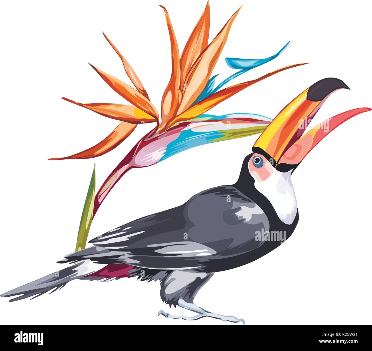 Toucan avec des fleurs tropicales strelitzia. Pour l'élément de conception des invitations, affiches, tissus et autres objets. Isolé sur blanc. Illustration de Vecteur