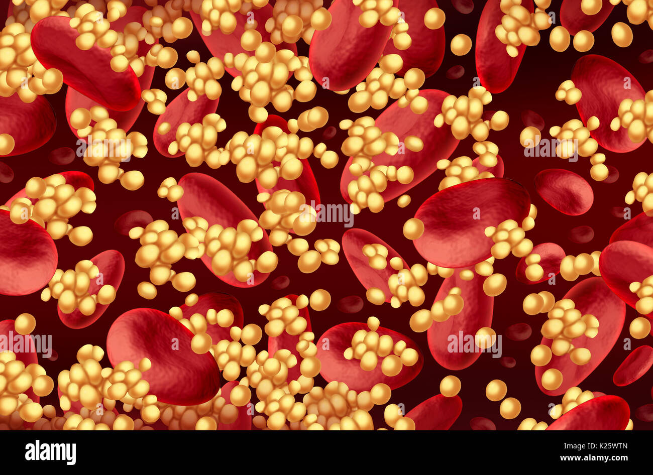 Cholestérol dans le sang avec les cellules de gras qui s'écoule dans une artère comme une maladie de Santé cardiologie dans le corps humain comme un symbole pour le durcissement des artères. Banque D'Images