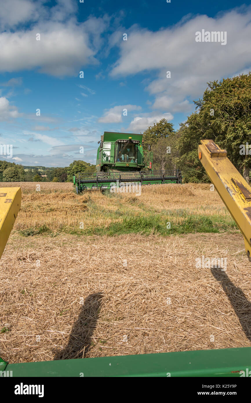 Royaume-uni l'agriculture, la récolte de blé de semence à Wycliffe Teesdale, with copy space Banque D'Images