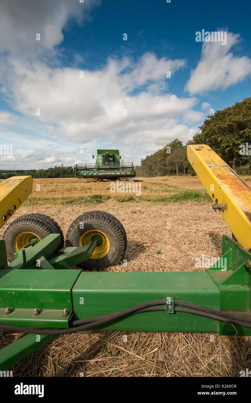 Royaume-uni l'agriculture, la récolte de blé de semence à Wycliffe Teesdale, with copy space Banque D'Images