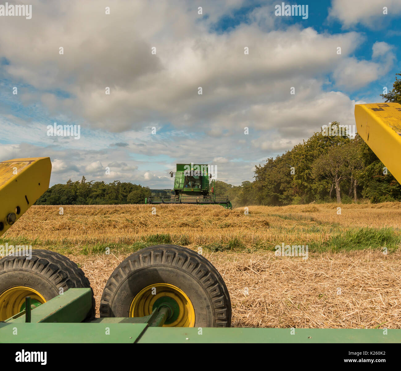 Royaume-uni l'agriculture, la récolte de blé de semence à Wycliffe, Teesdale Banque D'Images