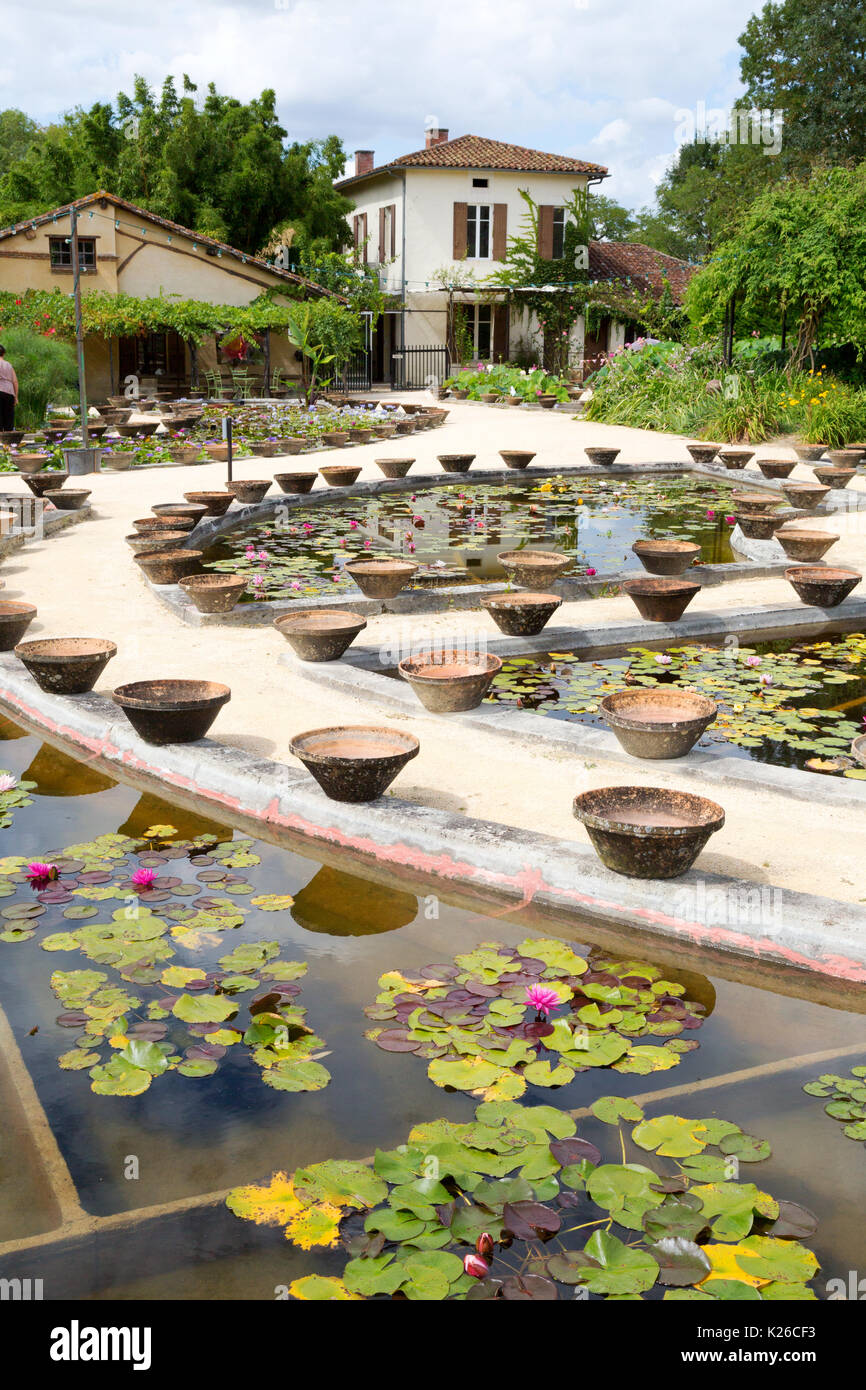 Les jardins aquatiques de Latour Marliac, le Temple sur Lot, Lot et  Garonne, Aquitaine, France Photo Stock - Alamy