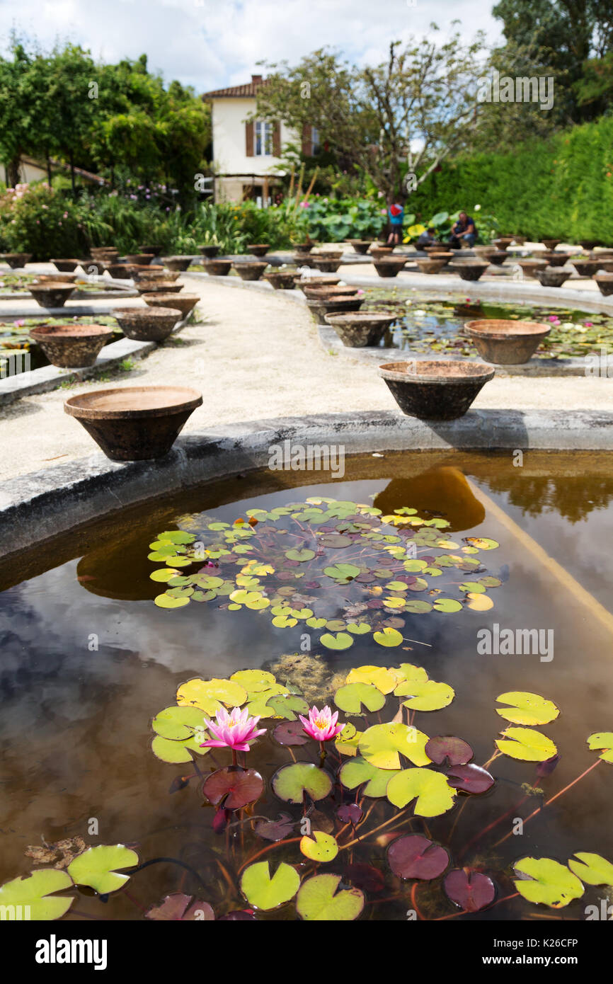 Les jardins aquatiques de Latour Marliac, le Temple sur Lot, Lot et Garonne, Aquitaine, France Banque D'Images