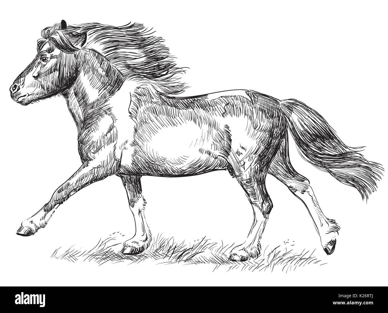 Dessin vectoriel pony galopant en couleur noir isolé sur fond blanc Illustration de Vecteur