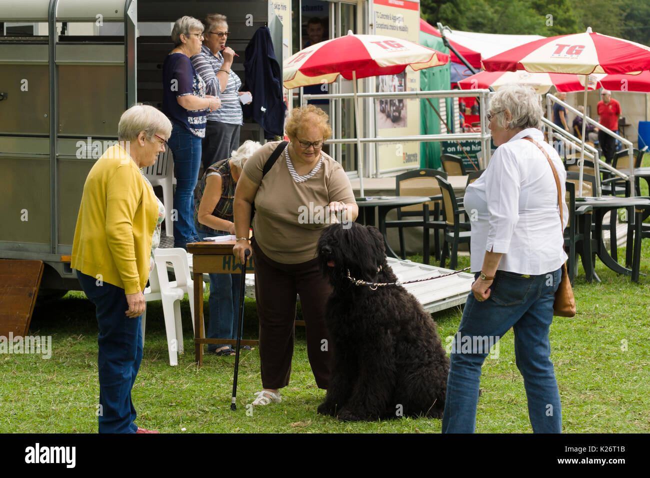 Mesdames admirer une grande shaggy dog lors de l'assemblée annuelle de la vallée de 12 essais cliniques le chien de berger et de l'élevage show à Glyn 12 North Wales Banque D'Images