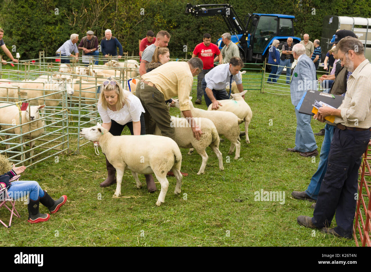 Les agriculteurs et leurs moutons prix concurrence sur le chien de berger de la vallée des 12 essais cliniques dans le Nord du Pays de Galles 12 Glyn Banque D'Images