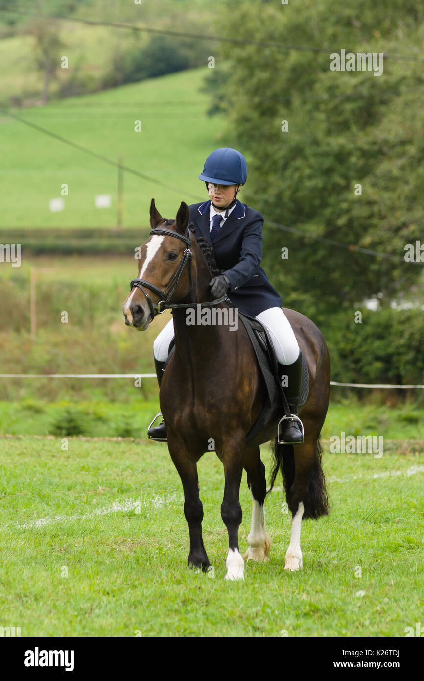 Jeune pilote et son cheval en compétition dans la gymkhana à Les essais annuels de chiens de berger de la vallée de Ceiriog à Glyn Ceiriog Pays de Galles du Nord Banque D'Images