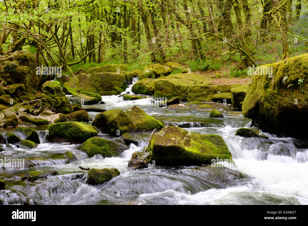 Golitha Falls, fleuve Fowey, près de Liskeard Bodmin Moor, Cornwall, Angleterre, Royaume-Uni Banque D'Images