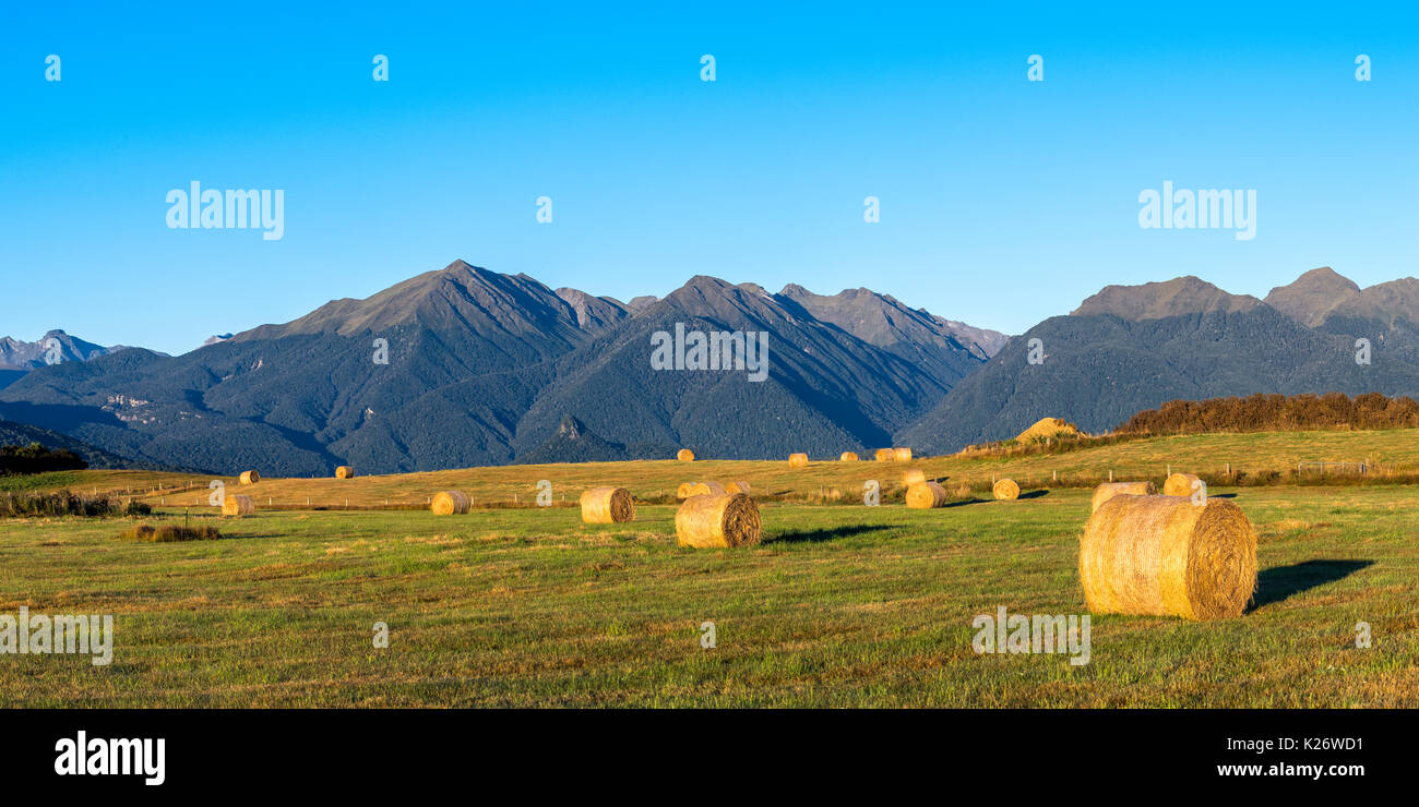 Le sud de l'itinéraire touristique, le Parc National de Fjordland, Southland, Région de l'île du Sud, Nouvelle-Zélande Banque D'Images