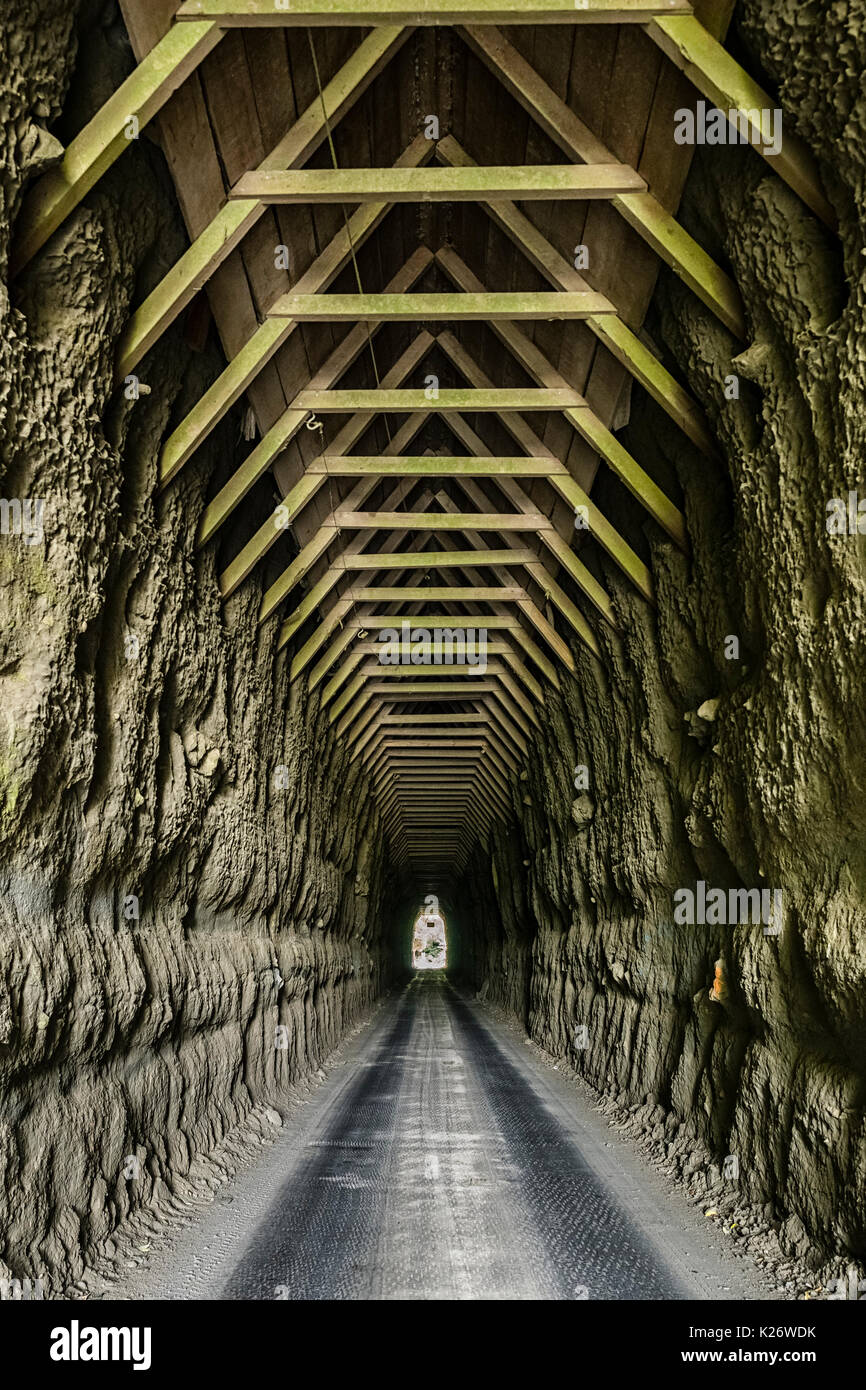 Tunnel, monde oublié Autoroute, Taranaki, North Island, New Zealand Banque D'Images