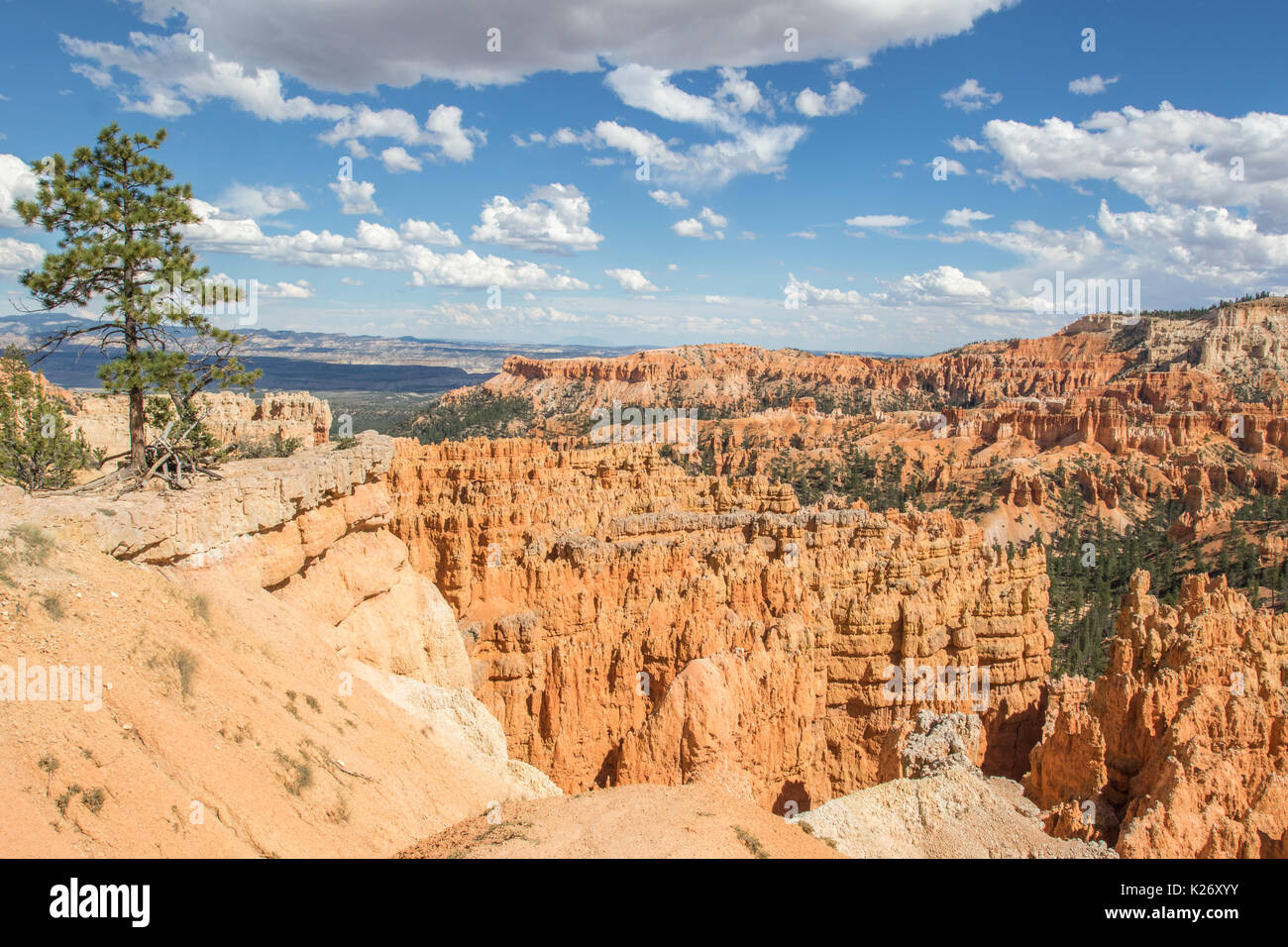 Avis de Sunset Point dans le Parc National de Bryce Canyon, UT Banque D'Images