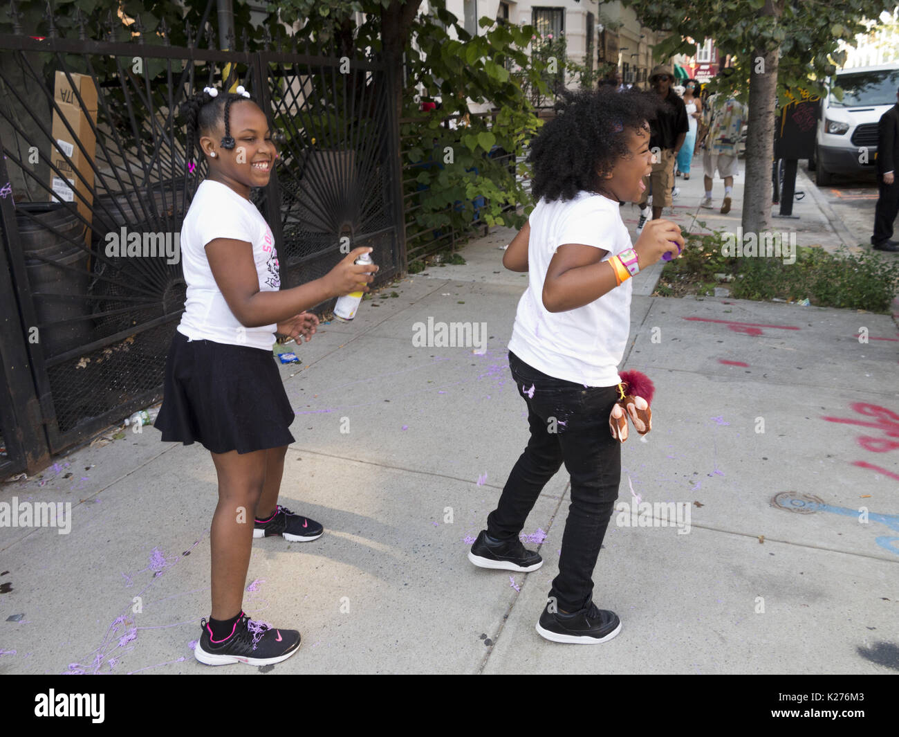 Block Party dans la section de Bedford Stuyvesant, Brooklyn26 août 2017. Banque D'Images