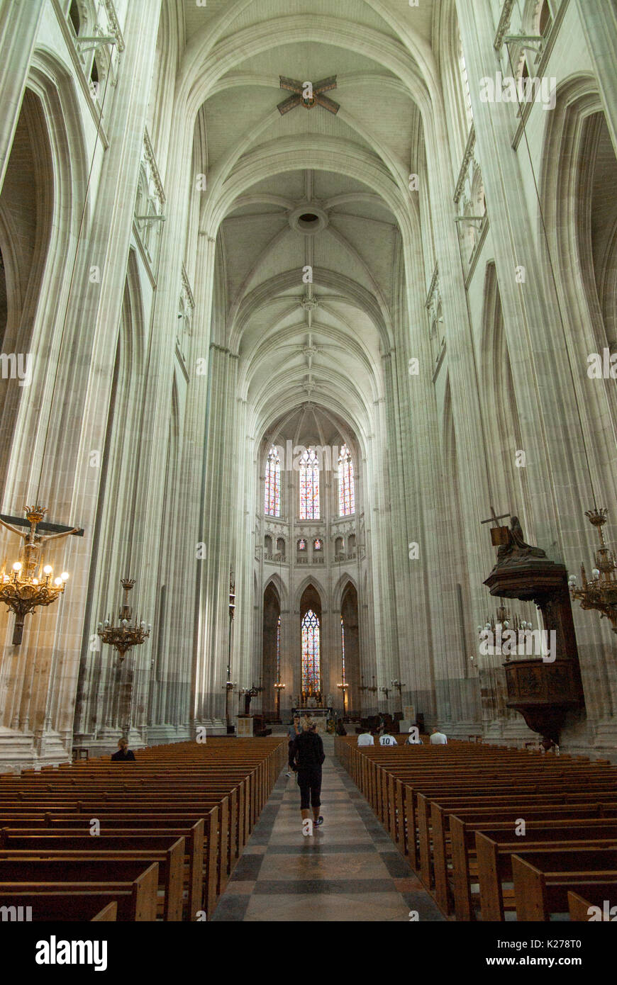 Saint Pierre et Saint Paul, La Cathédrale Vue de l'intérieur, Nantes, Pays de la Loire, France Banque D'Images