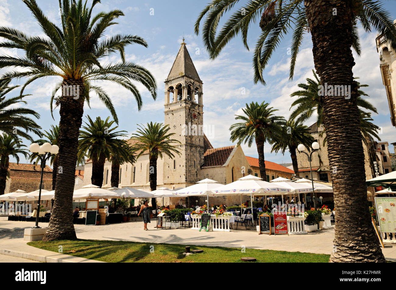Palmiers et st. Dominic église dans la vieille ville de Trogir, Croatie Banque D'Images