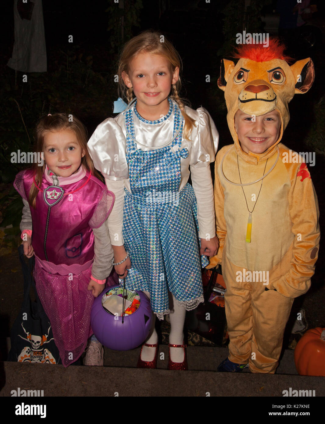 Dorothy, lion lâche et une sorcière du magicien d'OZ dehors pour une nuit de Halloween trick ou traiter. St Paul Minnesota MN USA Banque D'Images