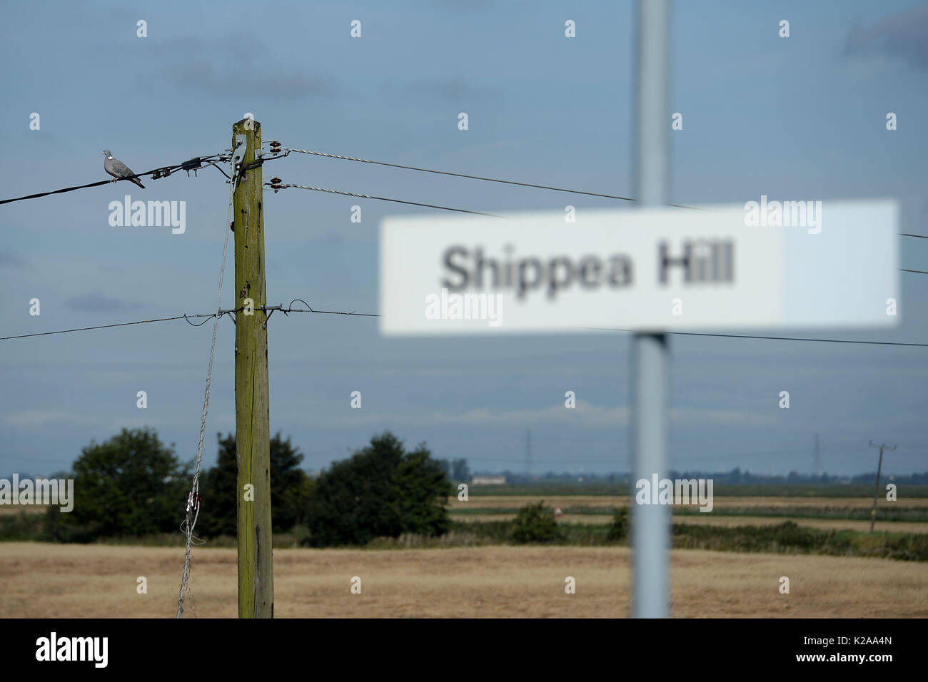 Shippea Hill station dans le Marais, situé sur la grande ligne de Breckland Anglia de l'Est de l'Angleterre, qui dessert la région de Cambridgeshire Fen brûlé et Suffolk, qui est régulièrement l'une des stations les moins utilisés dans le pays. Banque D'Images