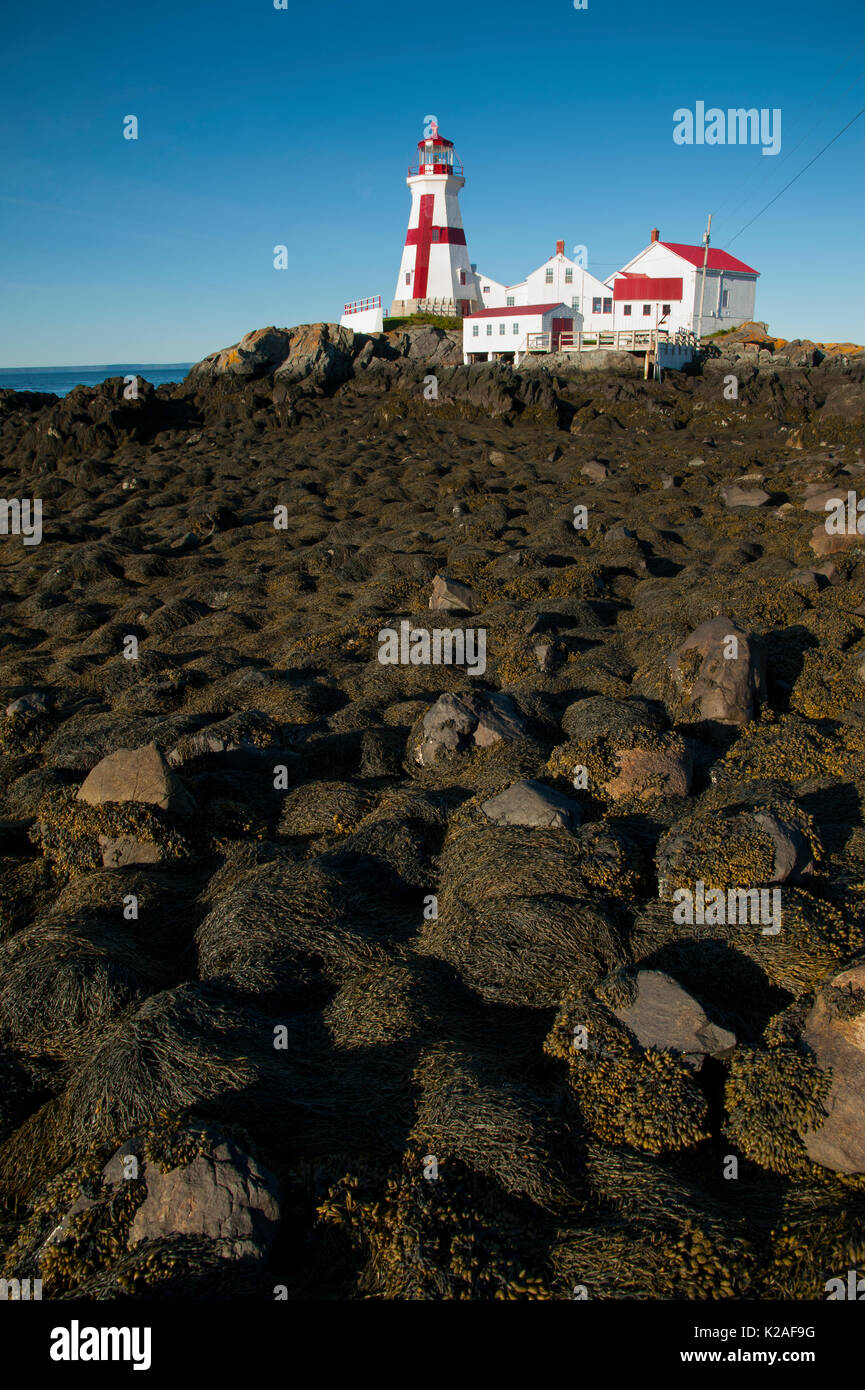 L'île Campobello a le taux de marées sur la côte Est, protégée par Head Harbour lighthouse. Les visiteurs peuvent faire des randonnées à la balise à marée basse. Banque D'Images