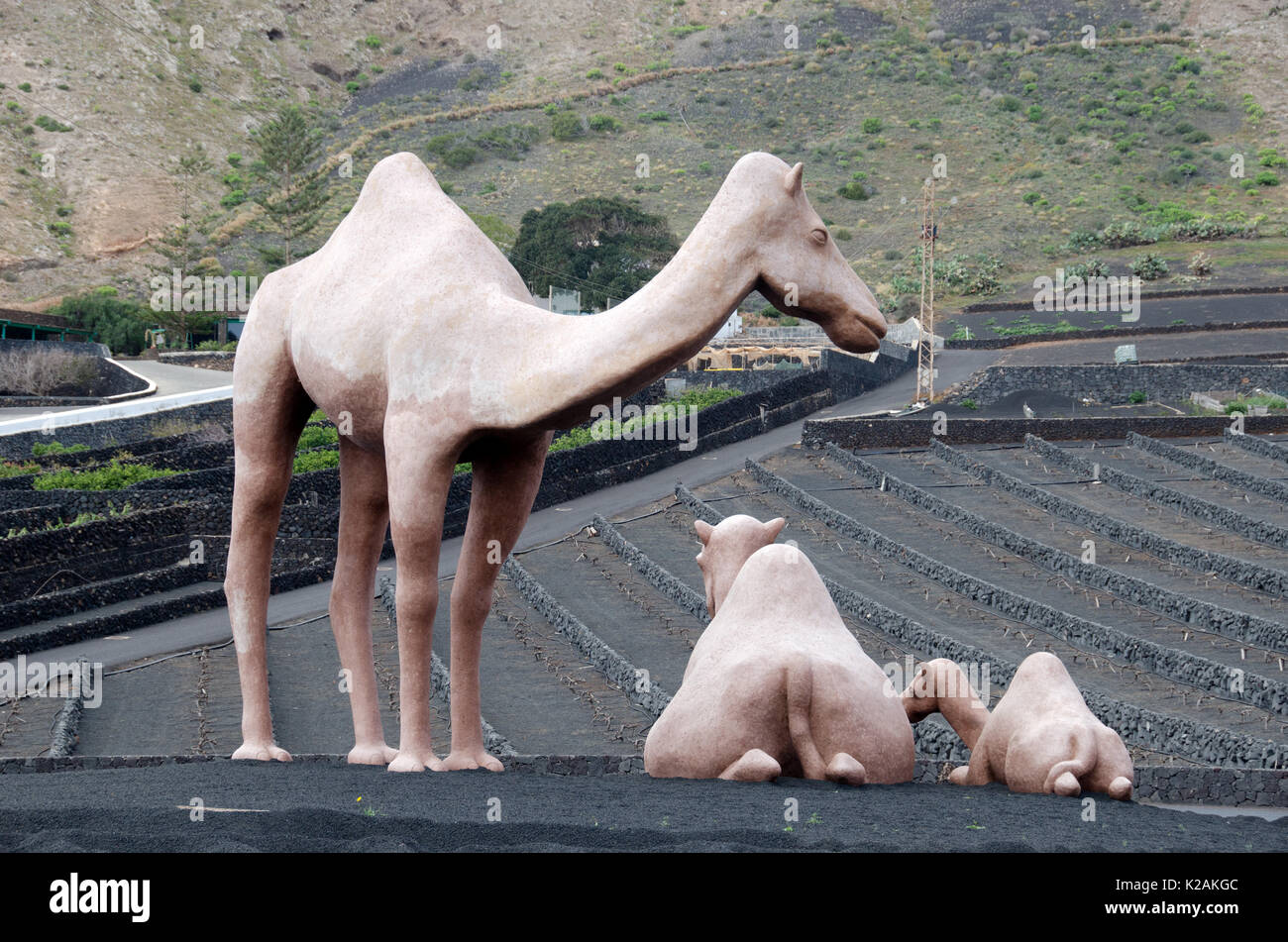 Taille Géant homme, femme et bébé les chameaux ont été sculptées à red stone picón, collectivement, ils pèsent dans la région de 3 000 kilos. Banque D'Images