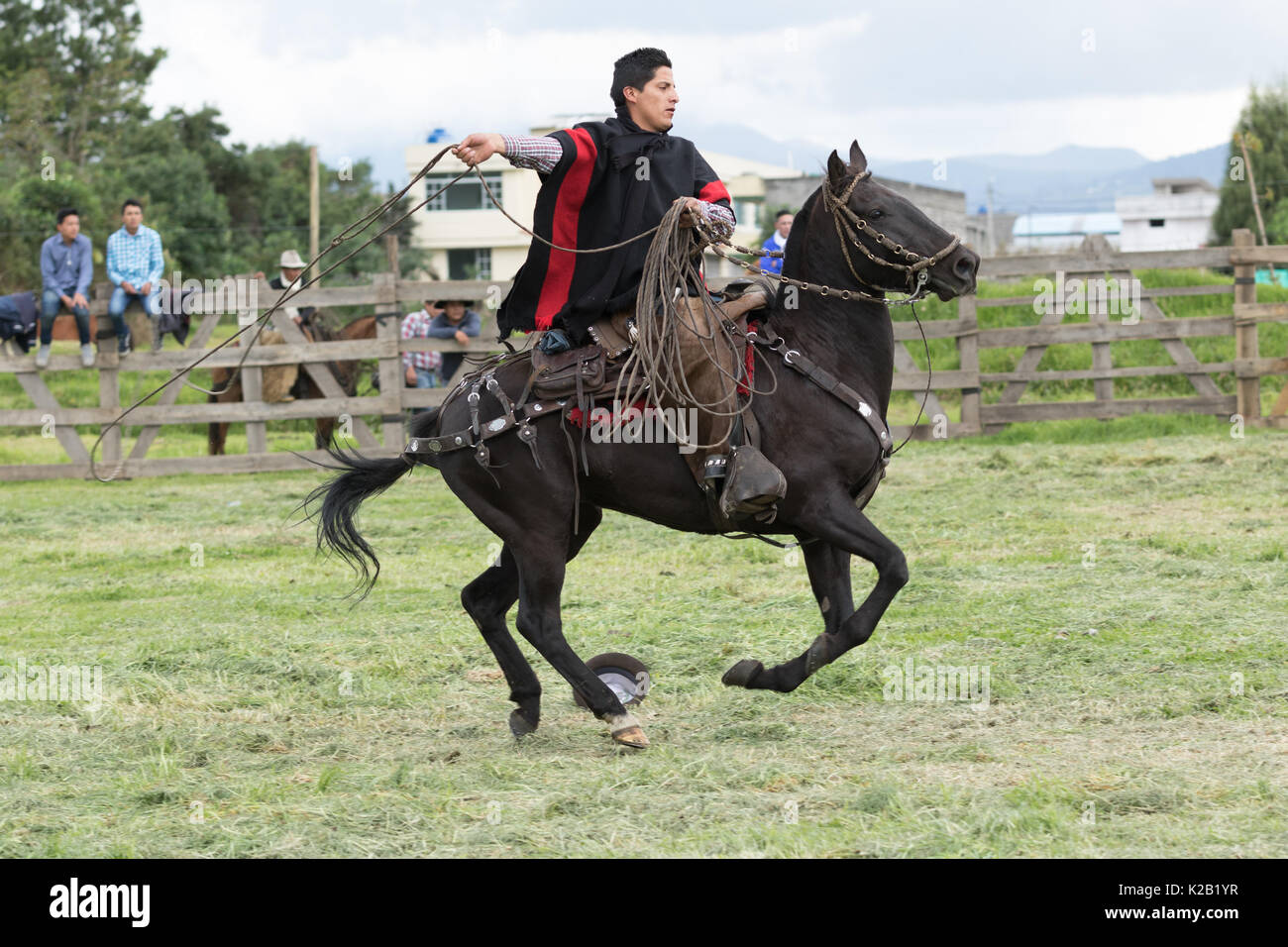 3 juin 2017, l'Équateur Machachi : cowboy appelé 'chagra' dans les ANdes à cheval tout en maintenant un lasso Banque D'Images
