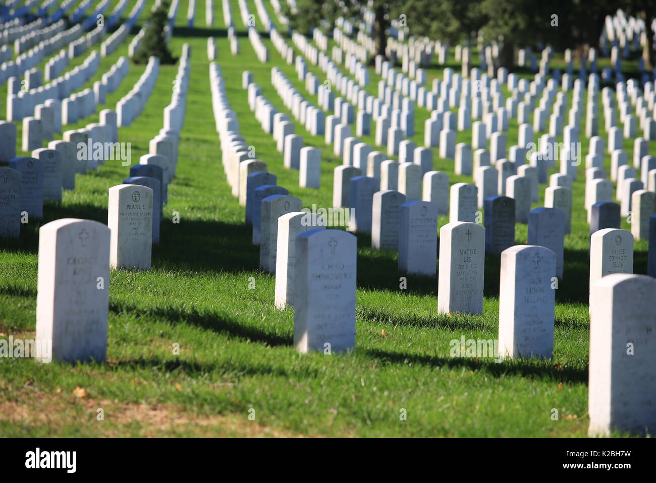 Arlington National Cemetery, cimetière militaire des États-Unis dans le comté d'Arlington, Virginie Banque D'Images