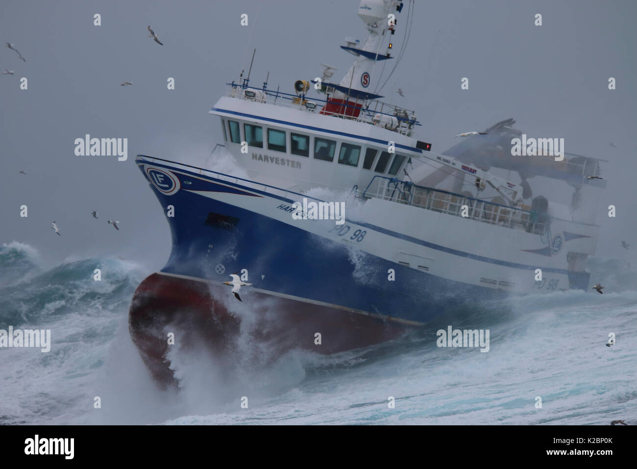 Bateau de pêche '' aux prises dans une tempête sur la mer du Nord ...