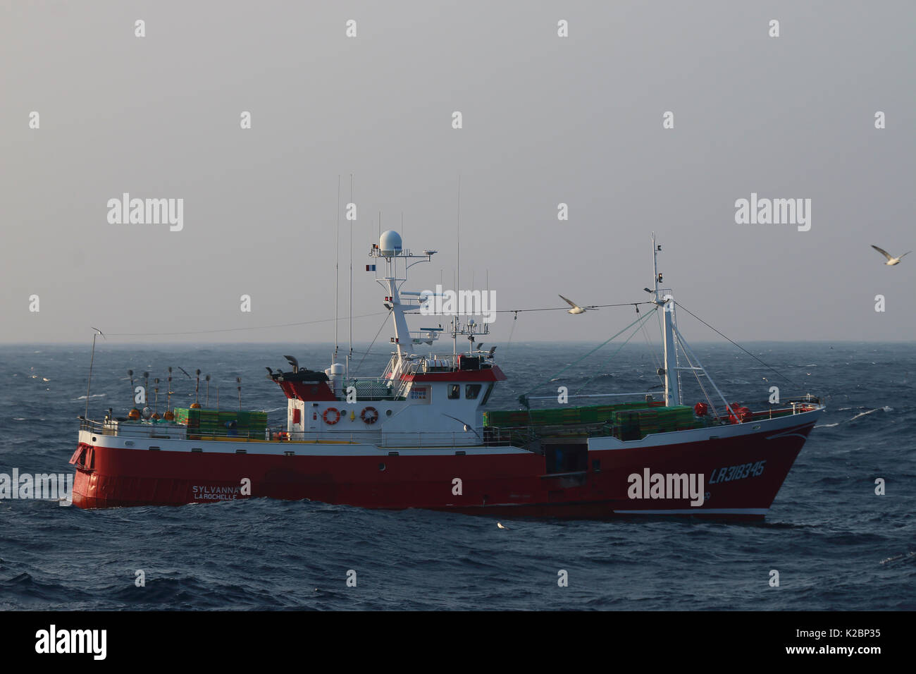 L'espagnol long line de bateau de pêche, les Hébrides extérieures, en Écosse, au Royaume-Uni, en mars 2015. Banque D'Images