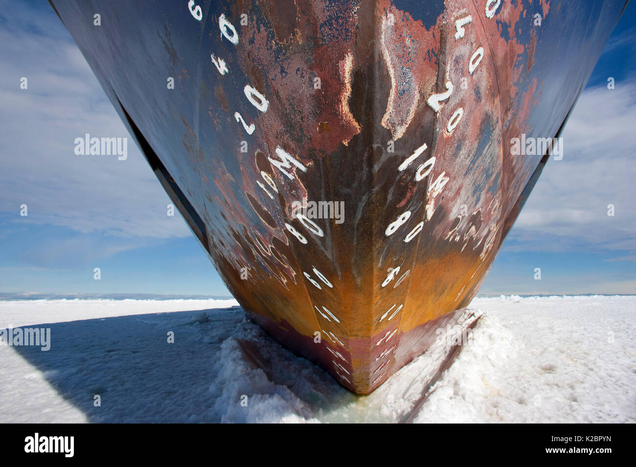 Coque de "brise-glace russe Kapitan Khlebnikov' dans les glaces de mer, Mer de Ross, Antarctique. Tous les non-usages de rédaction doivent être effacés individuellement. Banque D'Images