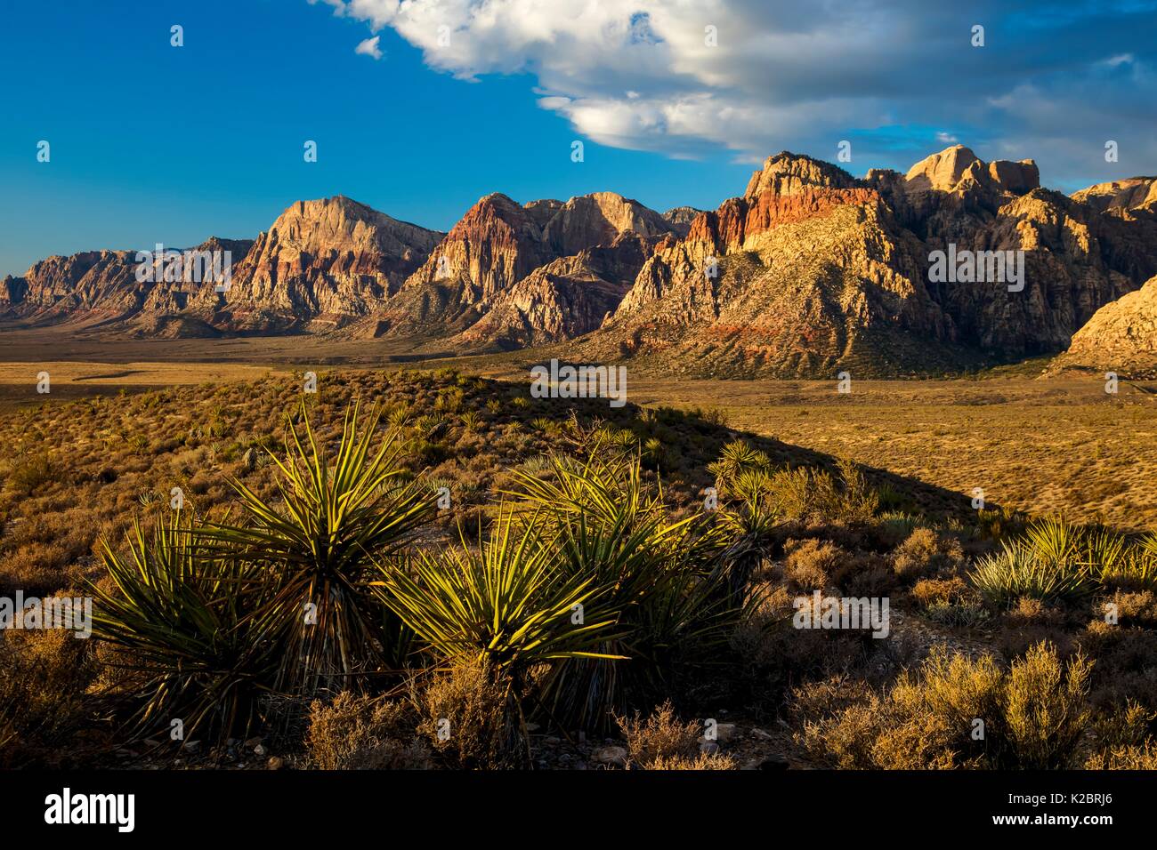 Des formations de roche rouge au Red Rock Canyon National Conservation Area, 29 septembre 2016 près de Las Vegas, Nevada. Banque D'Images