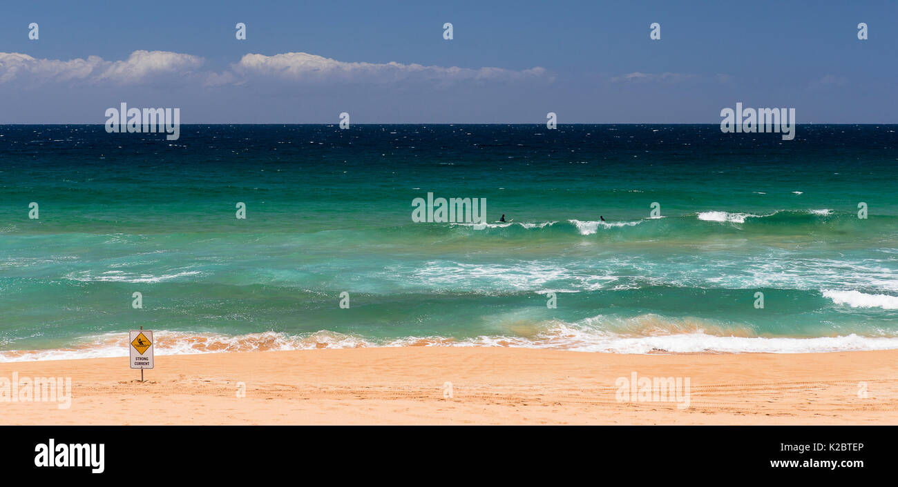 Surfeurs de beach, New South Wales, Australie, novembre 2012. Banque D'Images