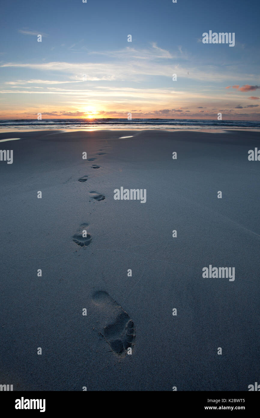 Les traces de pas dans le sable humide, Sennen Cove, Cornwall, UK, septembre. Banque D'Images