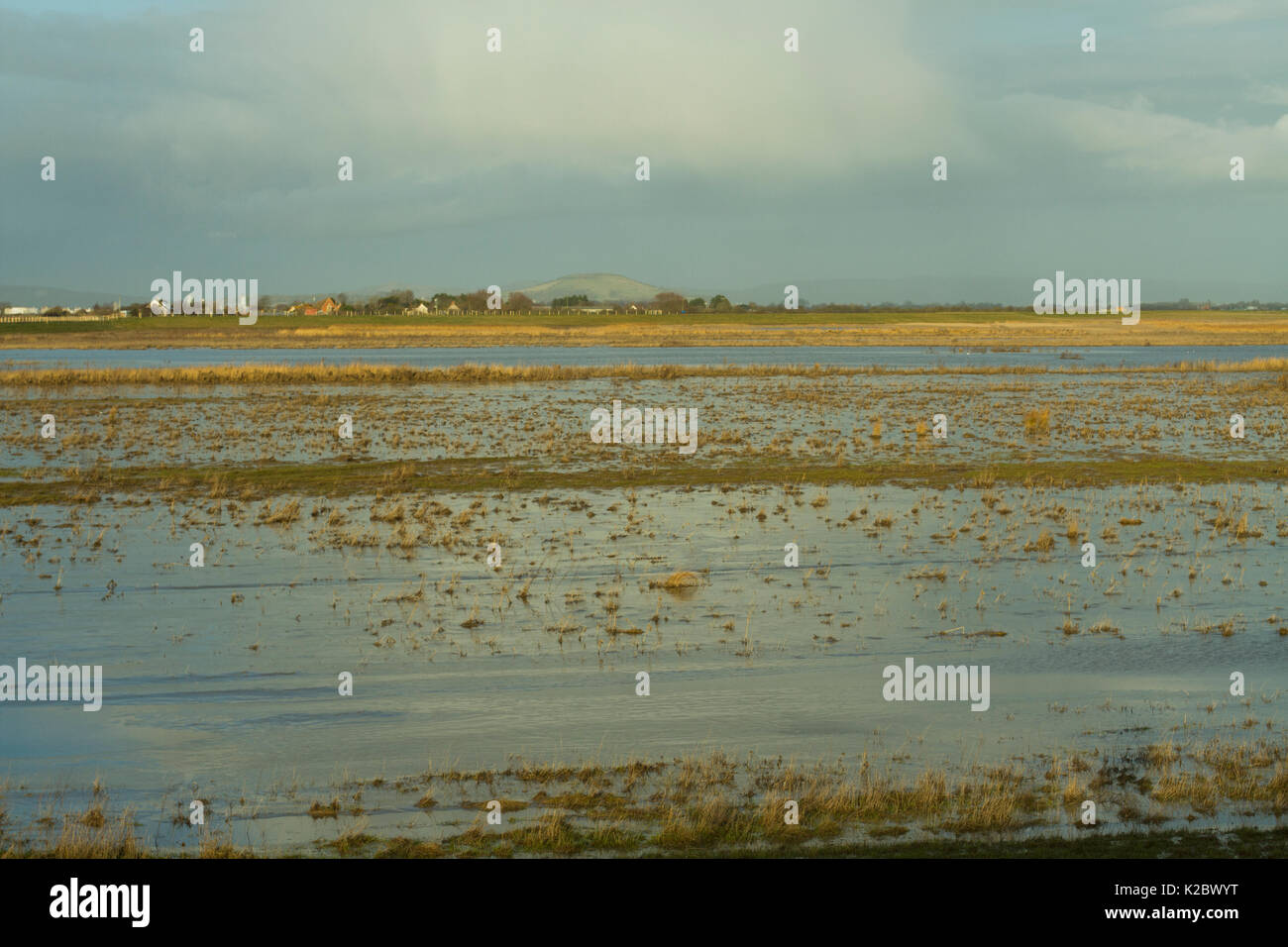 Réserve Naturelle des Marais de Steart, terres agricoles transformées en zones humides, Somerset, Royaume-Uni, février 2015. Banque D'Images