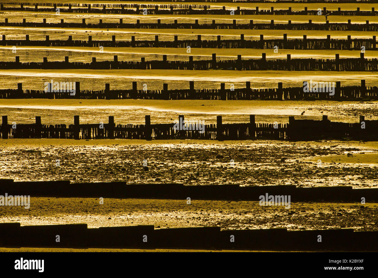 La défense de la mer et de lavage, Hunstanton, Norfolk, Angleterre, Royaume-Uni, février 2015. Banque D'Images