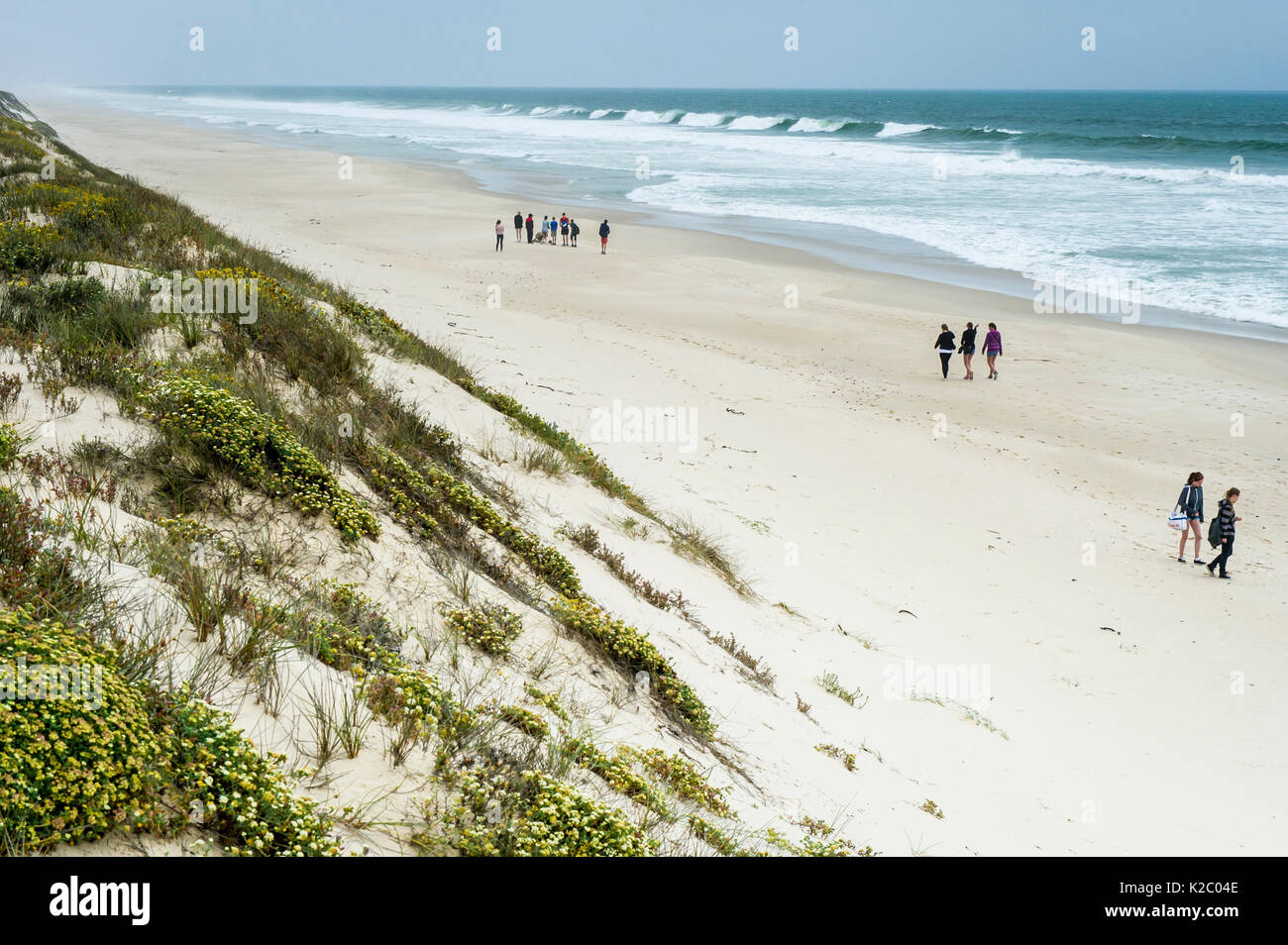 Les gens sur la plage de l'océan Atlantique, Rochrepan National Park, Western Cape, Afrique du Sud. Octobre 2014. Banque D'Images