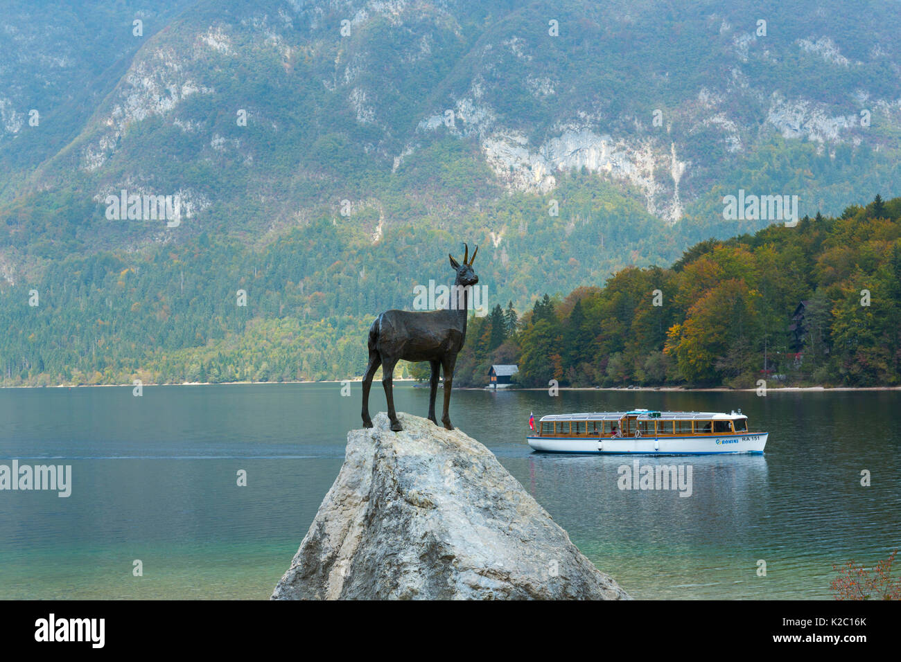 Chamois (Rupicapra rupicapra) statue, lac de Bohinj, parc national du Triglav, Alpes Juliennes, en Slovénie, octobre 2014. Banque D'Images