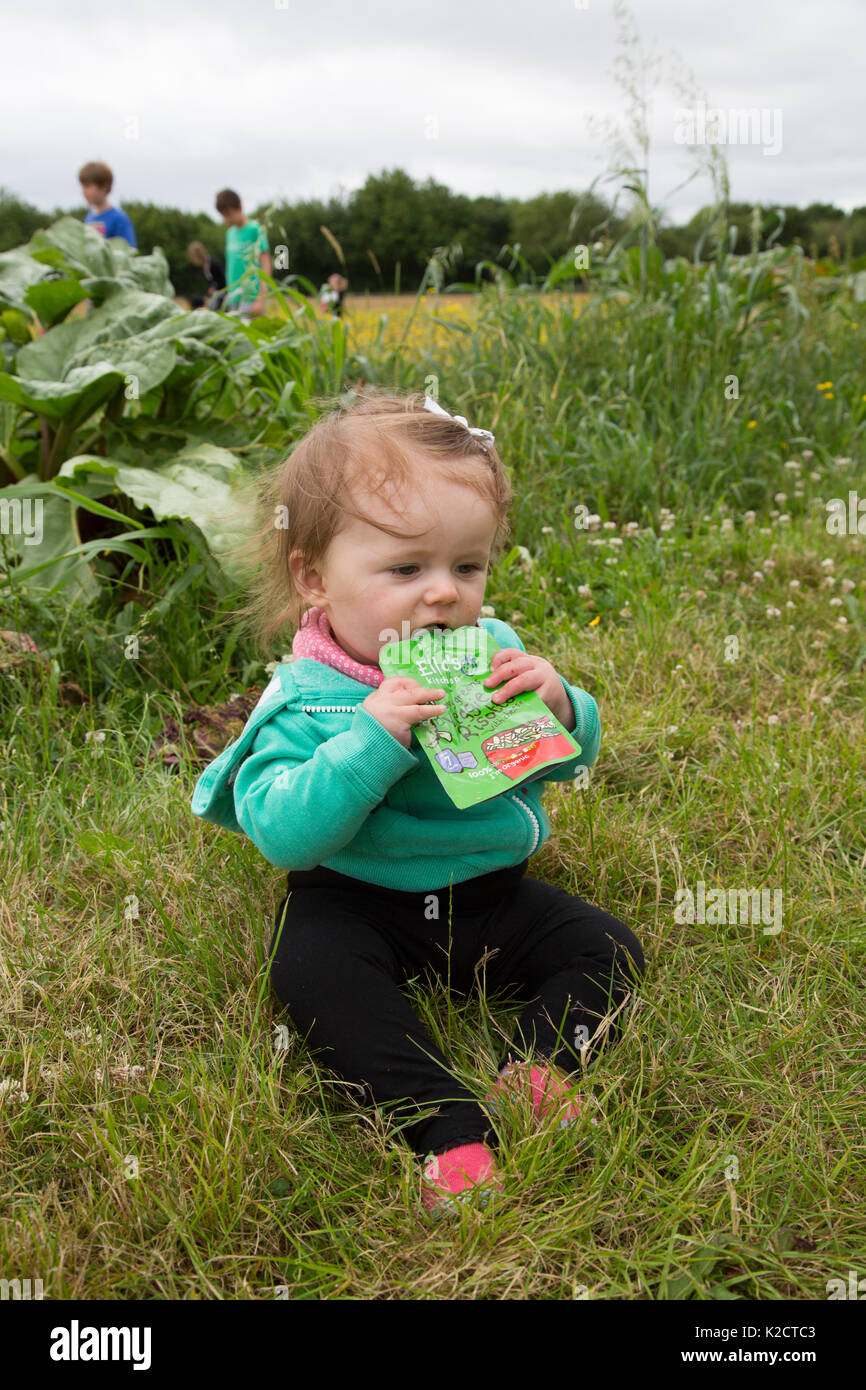Bebe Fille De 9 Mois Sucant Un Sachet De Nourriture Pour Bebe Photo Stock Alamy