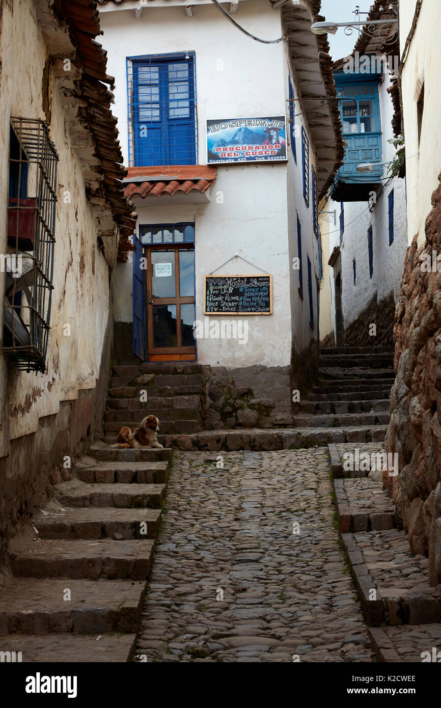 Raide étroite rue pavée, Calle Ccoricalle, Cusco, Pérou, Amérique du Sud Banque D'Images