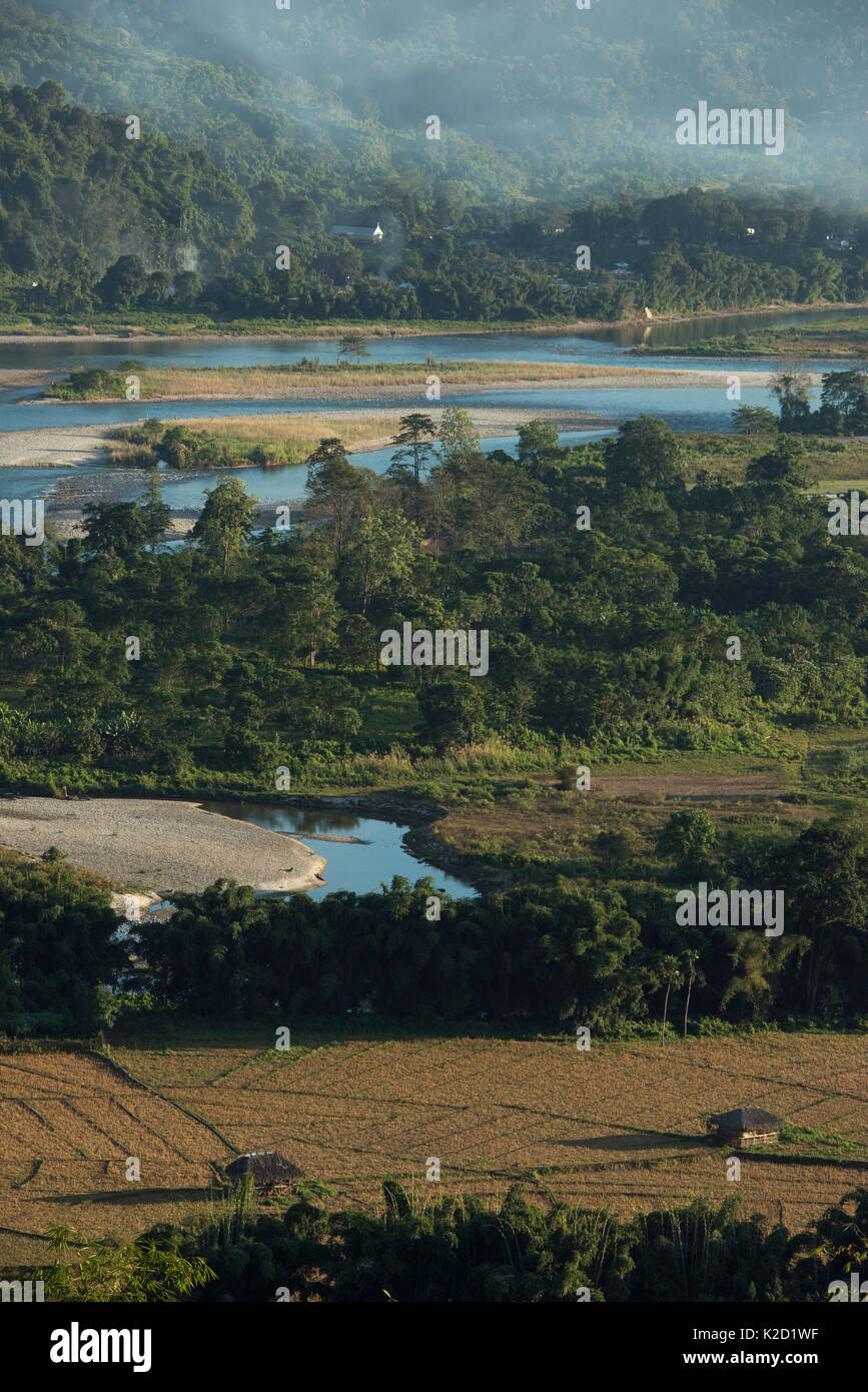 Adi Gallong terrasses de riz, Adi Gallong tribu, de l'Arunachal Pradesh, au nord-est de l'Inde, novembre 2014. Banque D'Images