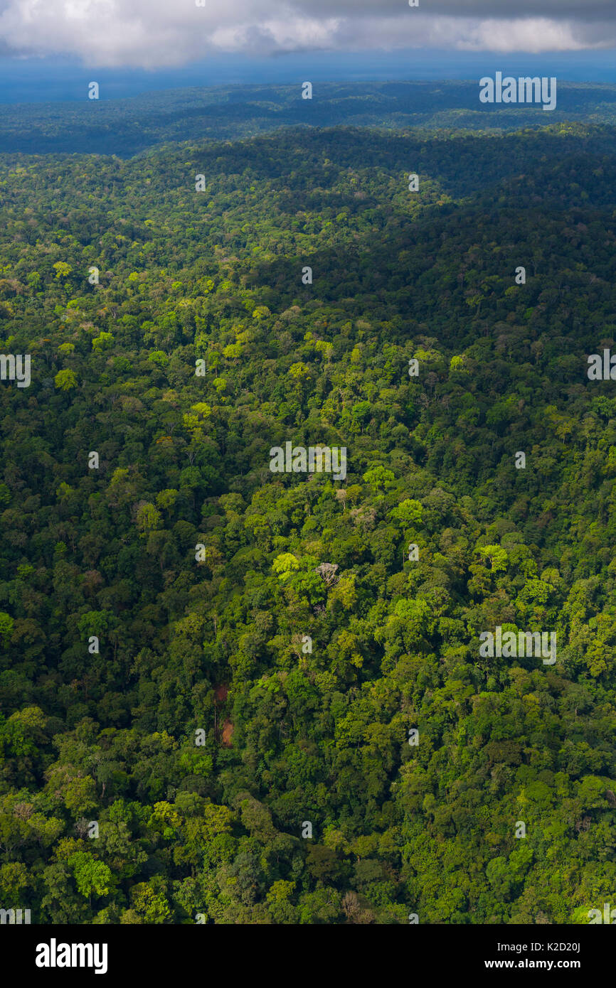 Vue aérienne du parc national Corcovado, péninsule d'Osa, province de Puntarenas, Costa Rica. Décembre 2014. Banque D'Images