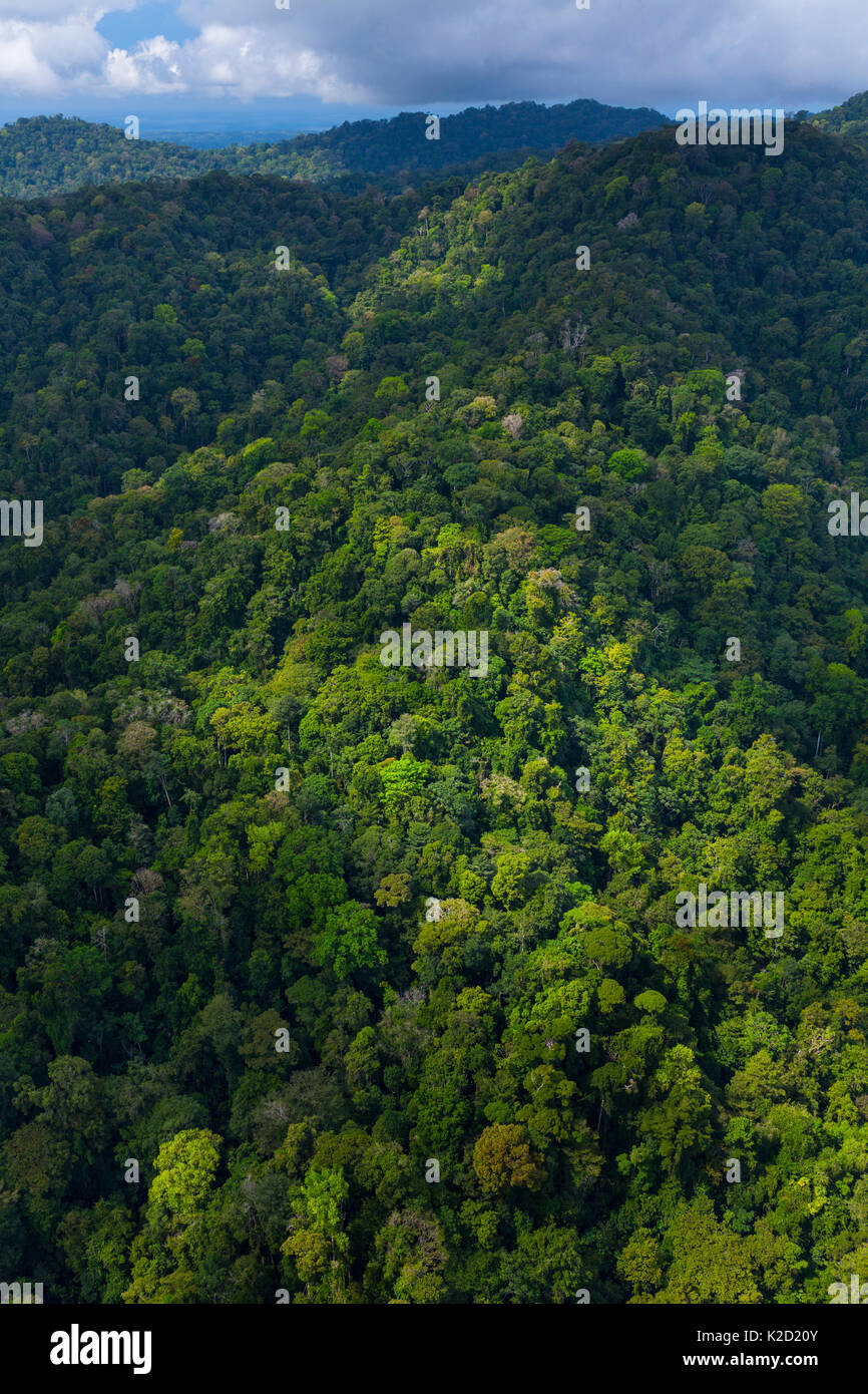 Vue aérienne du parc national Corcovado, péninsule d'Osa, province de Puntarenas, Costa Rica. Décembre 2014. Banque D'Images